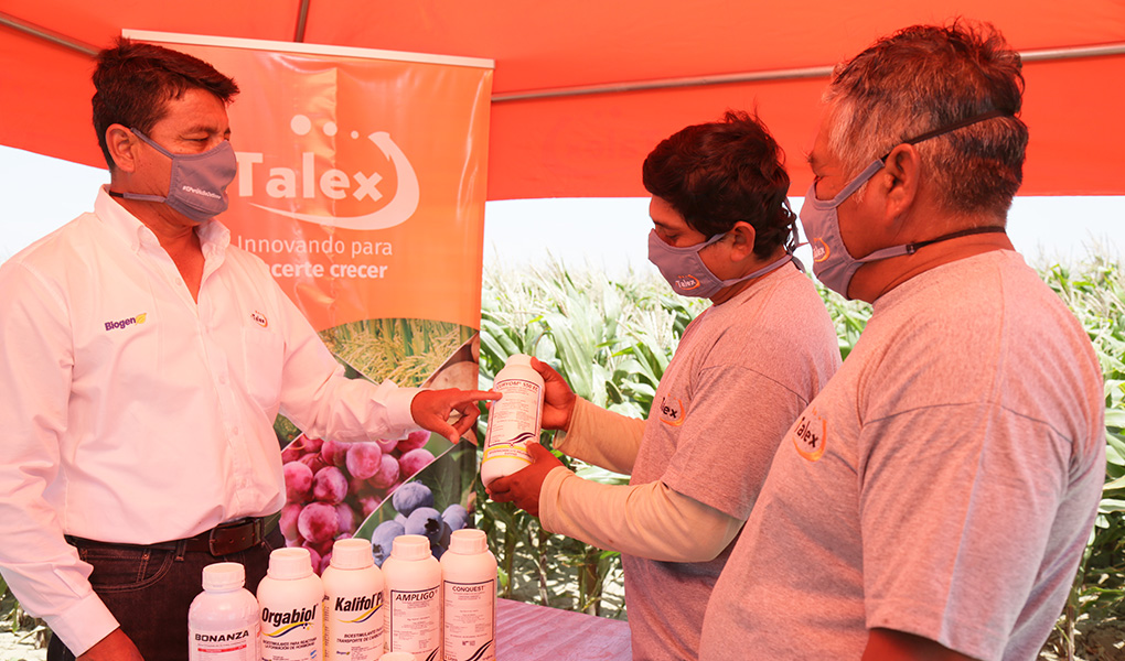 talex-recopilacion-1