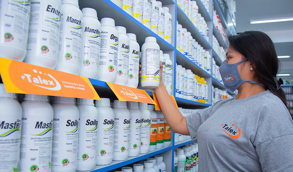 talex-recopilacion-5