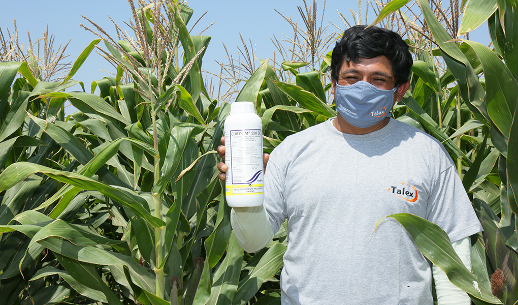 talex-recopilacion-6