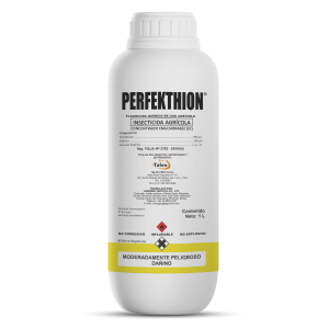 PERFEKTHION